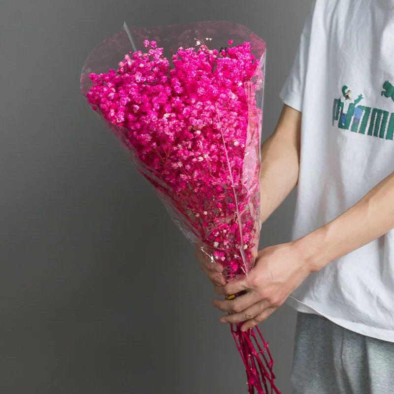 Dried Flower Dried Gypsophila Baby’s breath