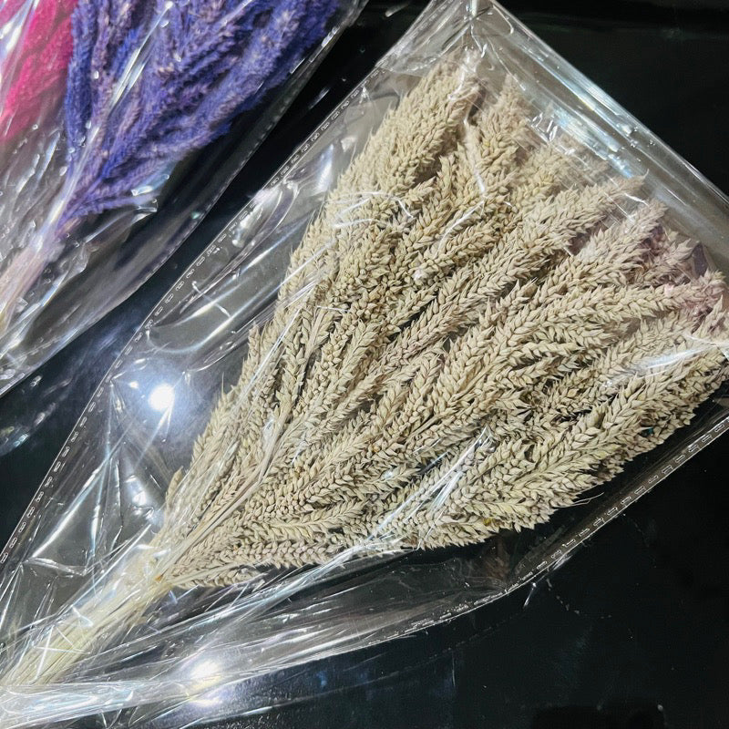 Dried Trigo Grass(LOCAL)