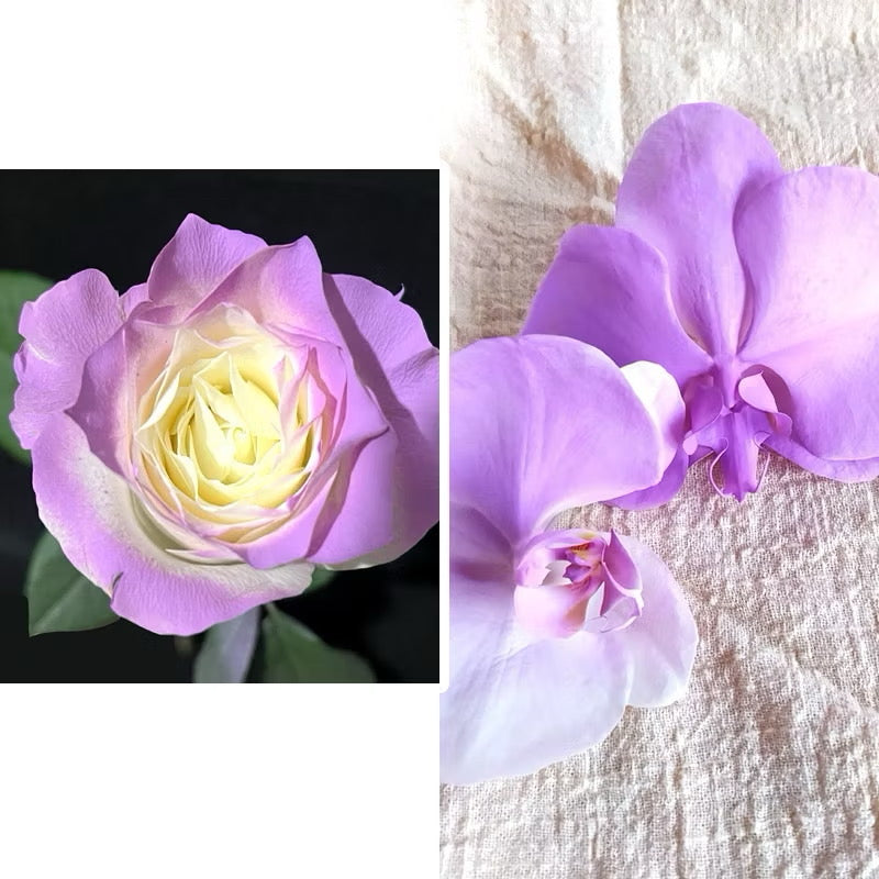 Floral Spray Color Change